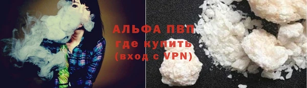 PSILOCYBIN Няндома