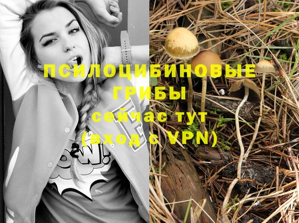 спайс Нязепетровск