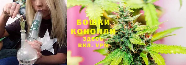 2c-b Осташков