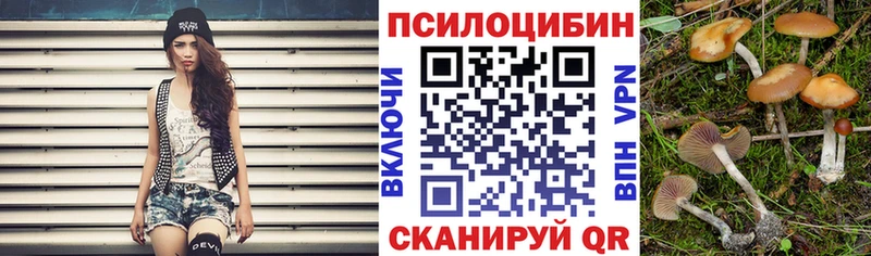 МЕГА ссылка  Оха  Псилоцибиновые грибы GOLDEN TEACHER 